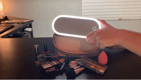 Portable Makeup Organizer with LED Light